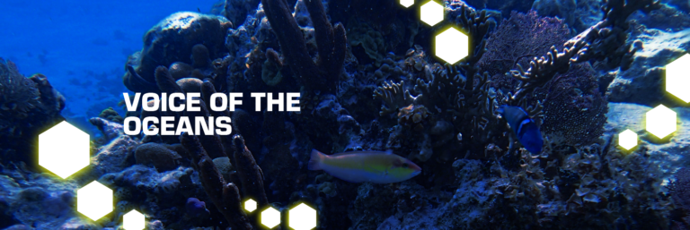 Voice of the Oceans – NFT store